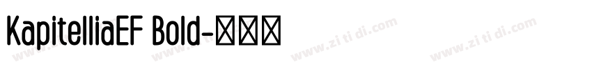 KapitelliaEF Bold字体转换